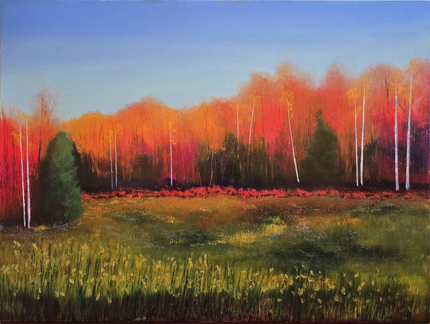 Autumn Clearing Faith Patterson