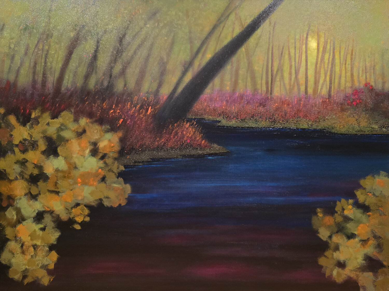 Delight in Stillness Faith Patterson