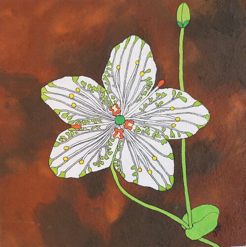Parnassia Grandiflora - Blüten auf Rost by Kiki Bragard, Painting for Sale on Singulart