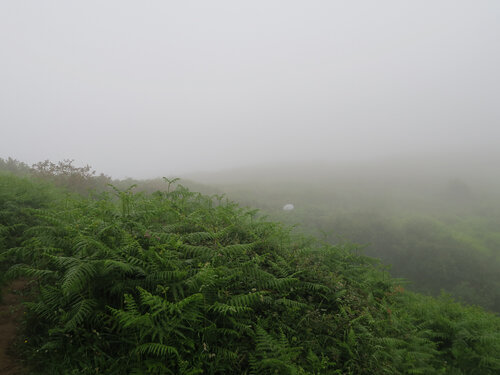 Synchronicité n°48 — L'Abîme by Morgan LE RUYET, Photography for Sale on Singulart