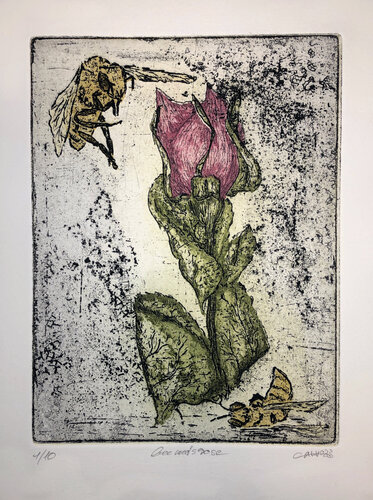 bee meets rose by Philippe Bulasch, Print for Sale on Singulart