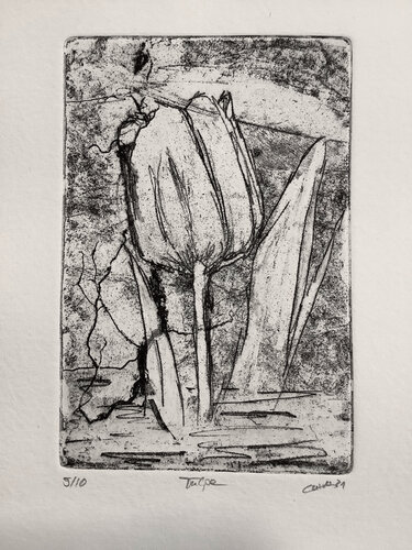 Tulpe par Philippe Bulasch, Édition en vente sur Singulart
