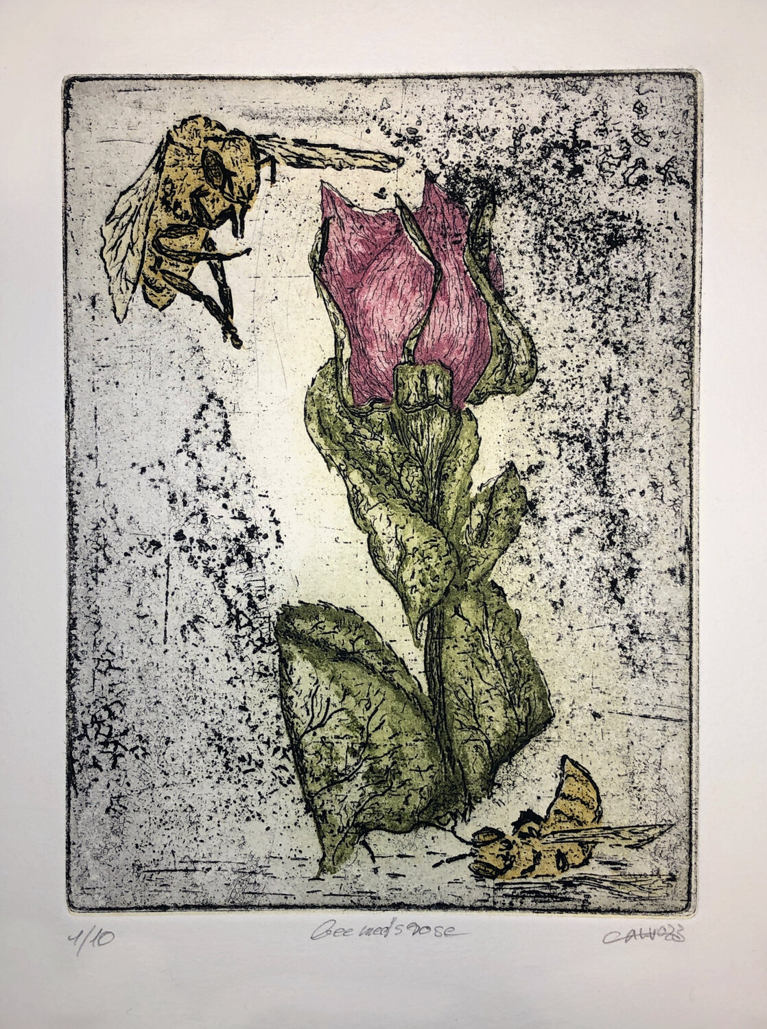 bee meets rose Philippe Bulasch