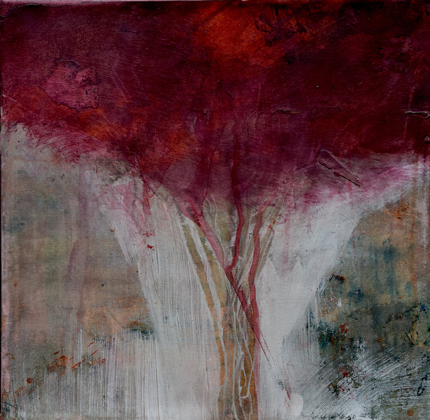 Red Tree, Dordogne, France Robin Richmond
