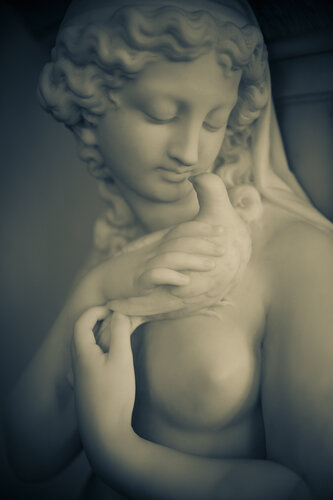 A bird in hand. Ireland di Cosmo Condina, Fotografia in vendita su Singulart