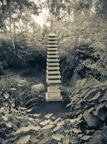 Garden of Serenity di Cosmo Condina, Fotografia in vendita su Singulart