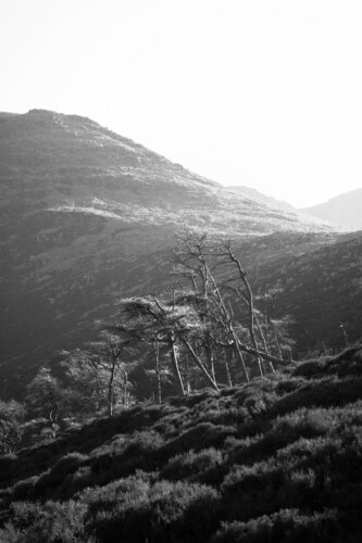 Sunlit di Jonathan Edmund James, Fotografia in vendita su Singulart