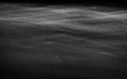 Dust by Jonathan Edmund James, 写真 for Sale on Singulart