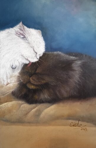 Amor Felino de Cielo Rincon, Pintura a la venta en Singulart