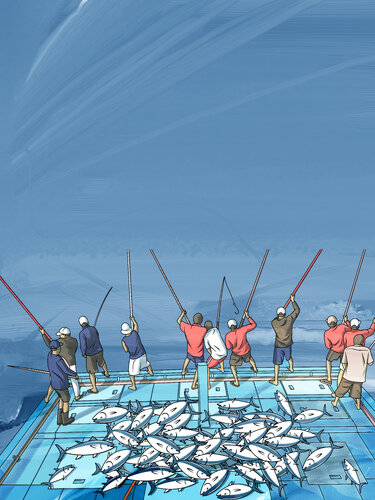 Islands at Work — Maldivian Pole‑and‑Line Fishing Heritage par ABDULLA YASIR, Édition en vente sur Singulart