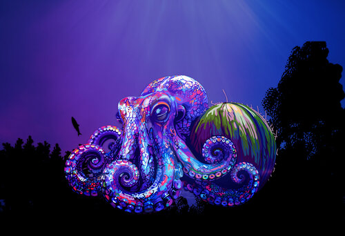 You Won’t Believe What This Octopus Did With a Coconut — Islanders Are Still Laughing von ABDULLA YASIR, Digital kaufen auf Singulart