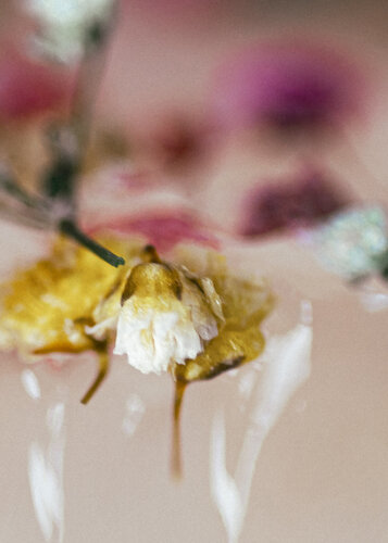 Baroque No.2 de Julia Posta, Fotografía a la venta en Singulart