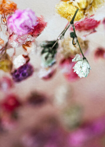 Baroque No.4 de Julia Posta, Fotografía a la venta en Singulart