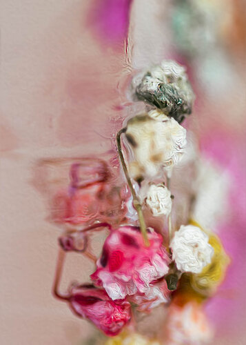 Baroque No.5 de Julia Posta, Fotografía a la venta en Singulart