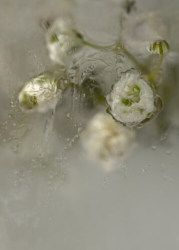 Baroque No.6 de Julia Posta, Fotografía a la venta en Singulart