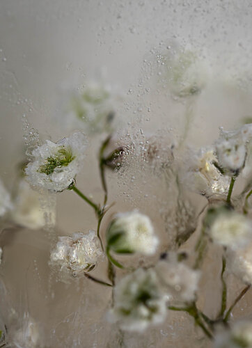 Baroque No.7 de Julia Posta, Fotografía a la venta en Singulart