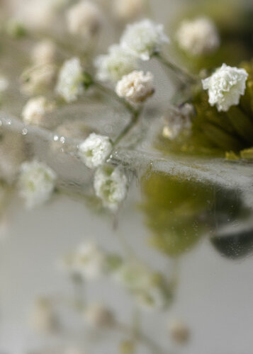 Baroque No.8 de Julia Posta, Fotografía a la venta en Singulart