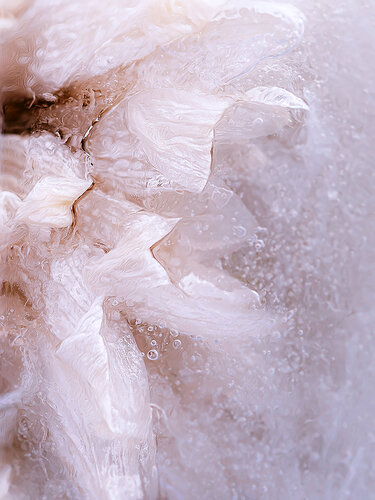 Baroque No.11 von Julia Posta, Fotografie kaufen auf Singulart