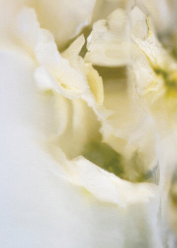 Baroque No.12 de Julia Posta, Fotografía a la venta en Singulart