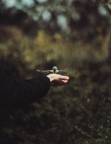 The Gift of Trust von Julian Franz, Fotografie kaufen auf Singulart