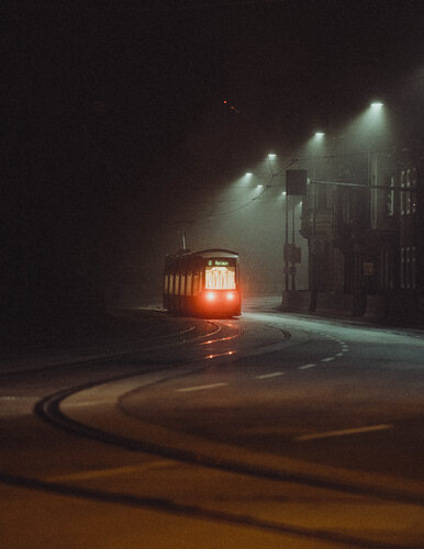 Foggy Mornings by Julian Franz, Photography for Sale on Singulart