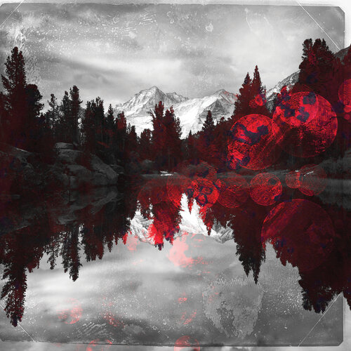 Ashes di Nathan Shumaker, Digitale in vendita su Singulart