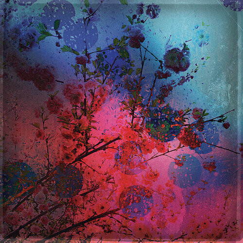 A Winter Moment de Nathan Shumaker, Digital a la venta en Singulart