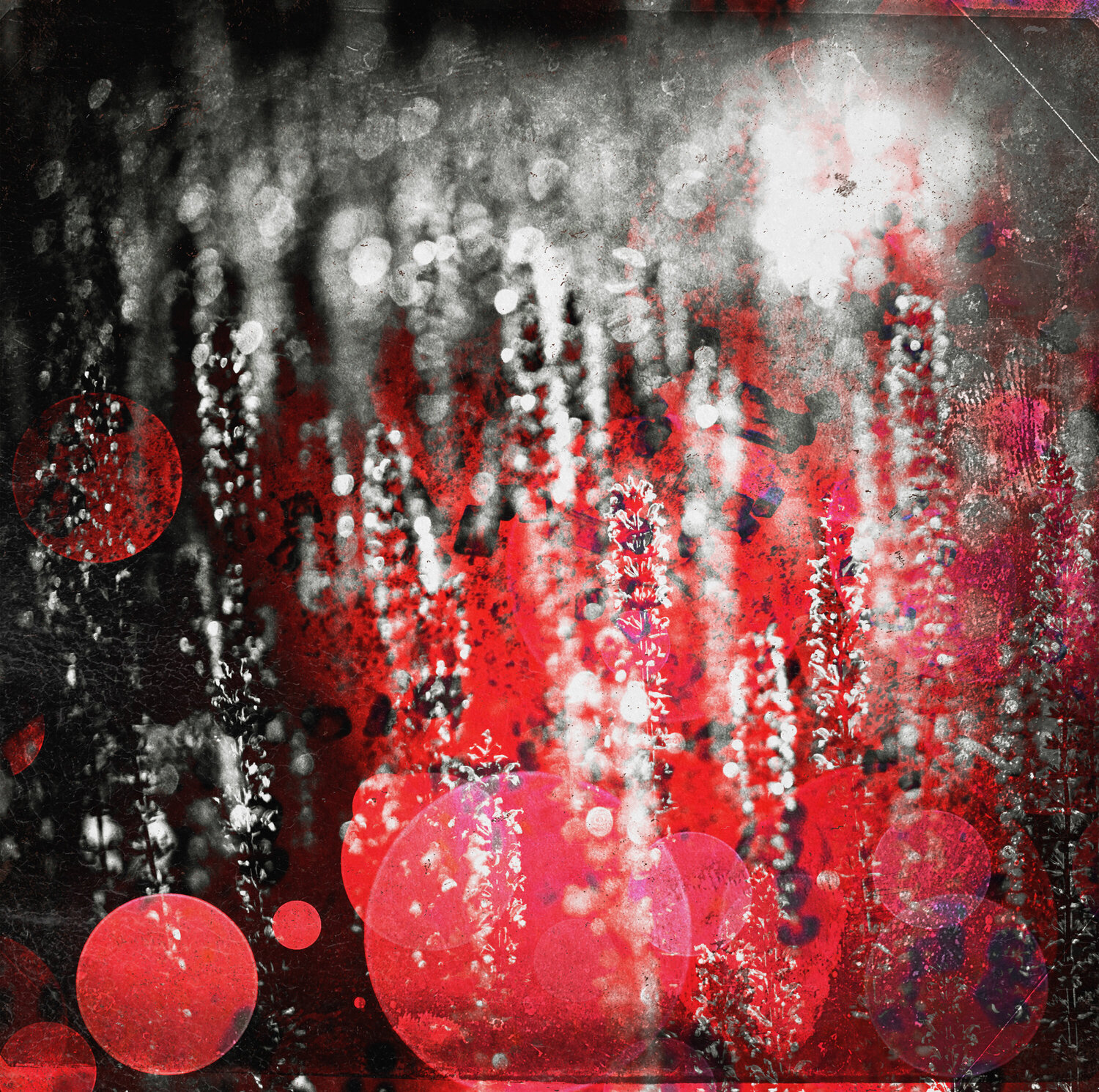 Embers Nathan Shumaker