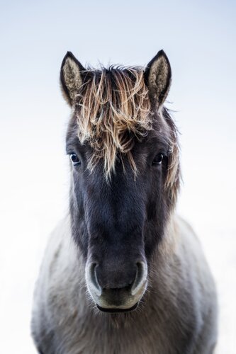 The Calm par Yvonne Koall, Photographie en vente sur Singulart