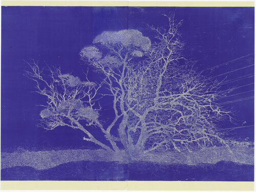 Australian gothic Indigo di martin king, Opera su carta in vendita su Singulart