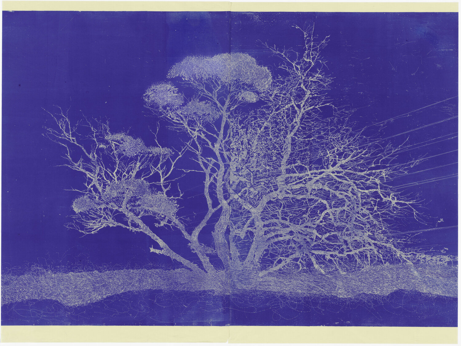 Australian gothic Indigo martin king