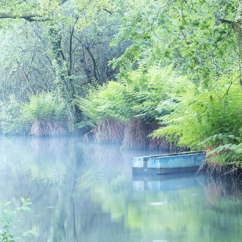 Blue boat on the river Kate Lloyd
