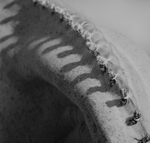 Knots and blots Kate Lloyd
