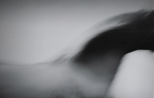 Abstract Horse di Kate Lloyd, Fotografia in vendita su Singulart