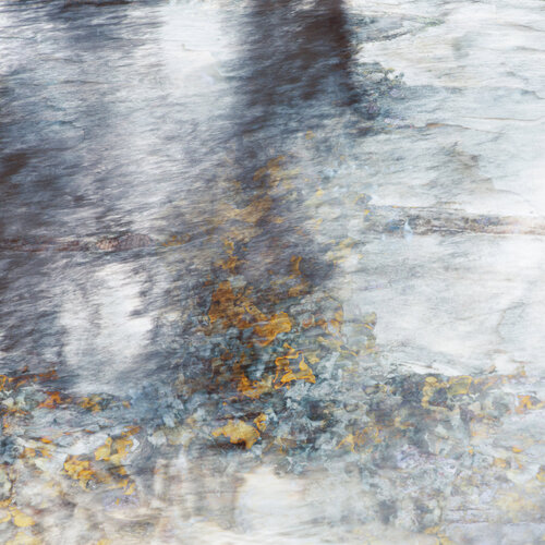 Golden sparkles van Kate Lloyd, Fotografie te koop op Singulart