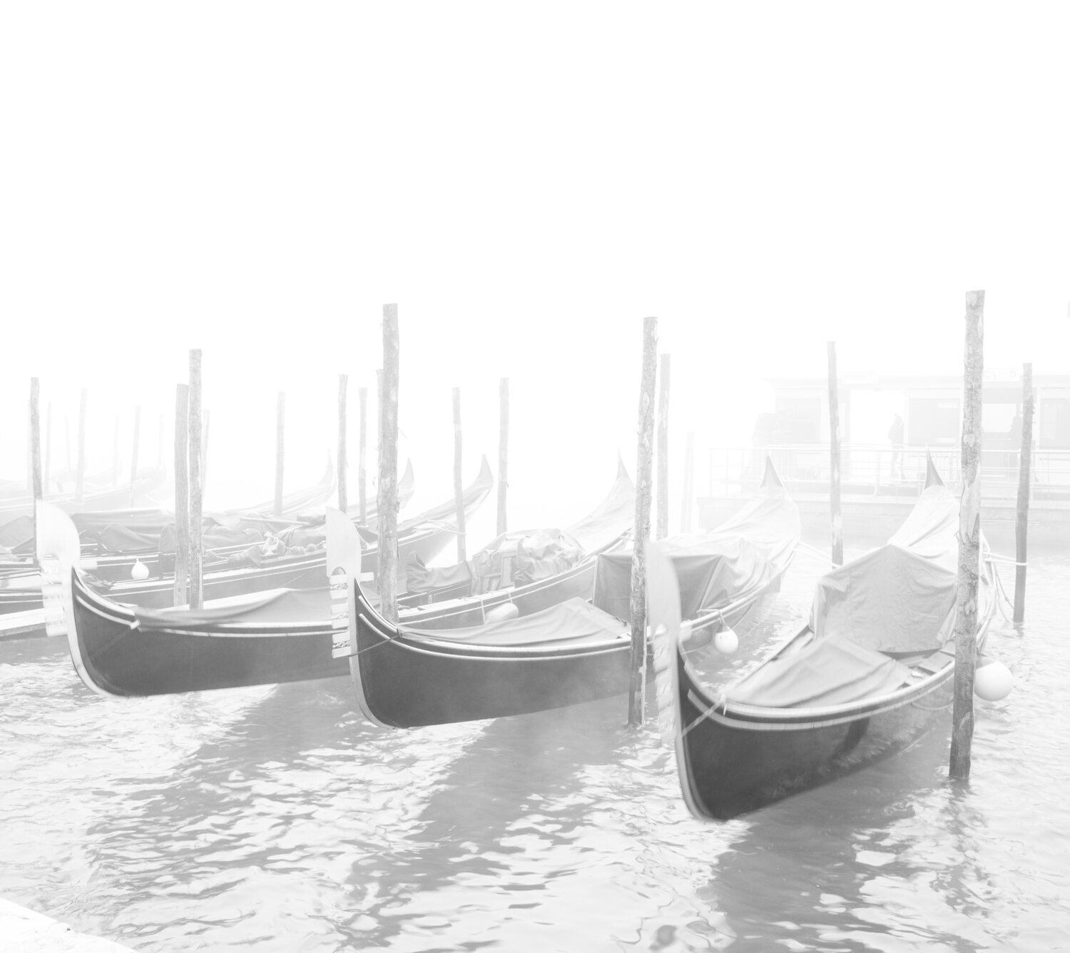 Gondolas in black and white Kate Lloyd