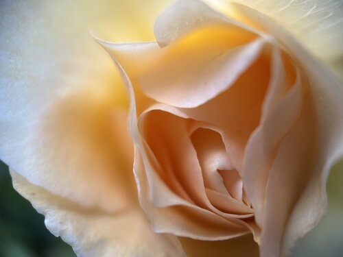 Resting Light di Priss, Fotografia in vendita su Singulart