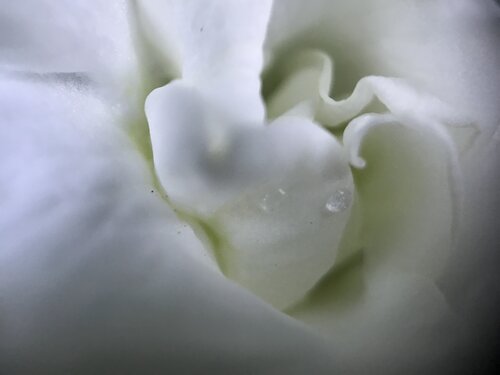 Still Form di Priss, Fotografia in vendita su Singulart
