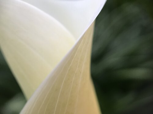 Quiet Curve di Priss, Fotografia in vendita su Singulart
