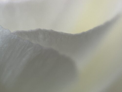 Emerging Light (Rectangle) by Priss, Photography for Sale on Singulart