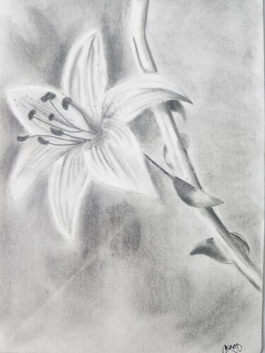 Calmness von Kosha Mehta, Werk auf Papier kaufen auf Singulart