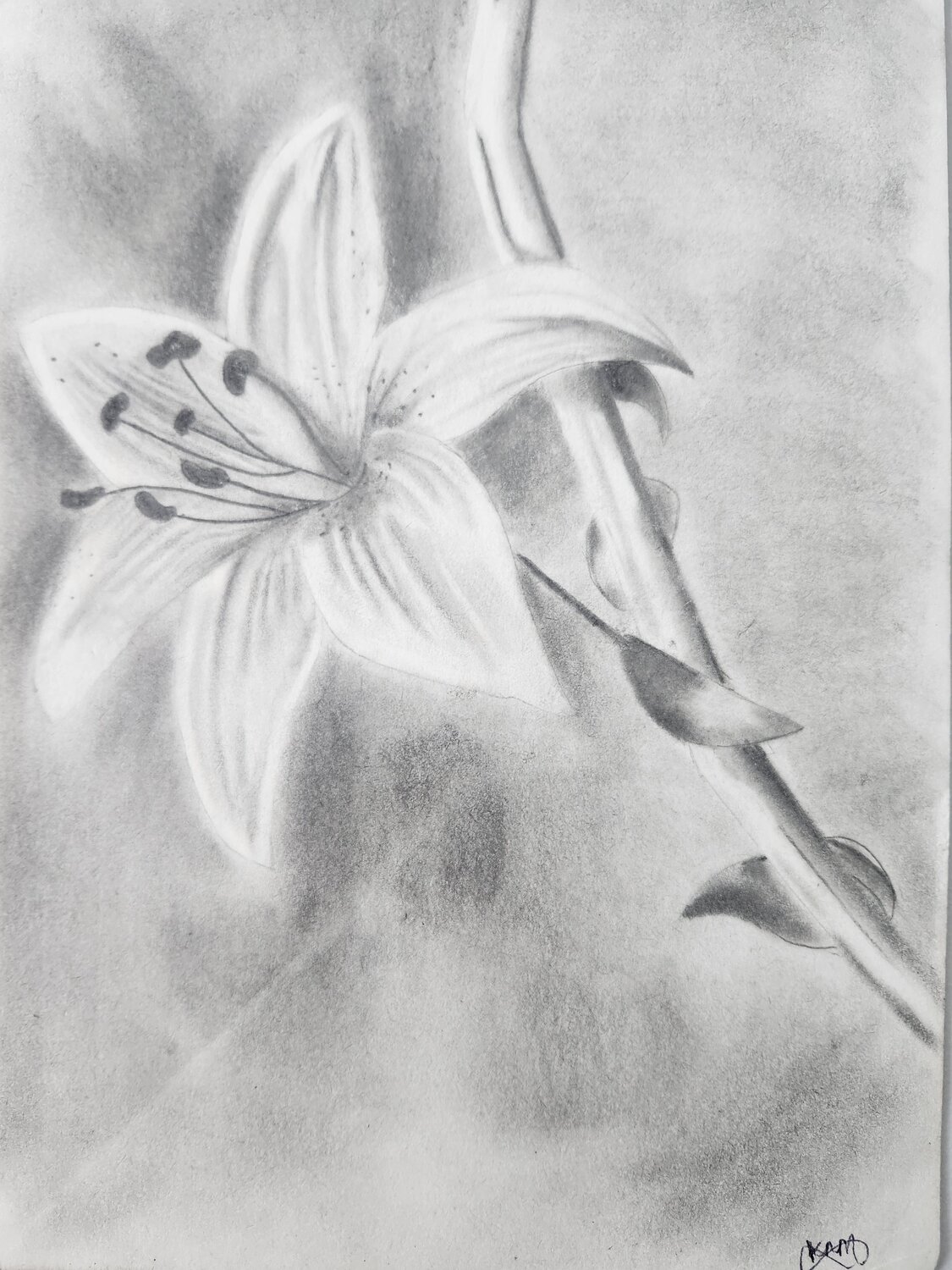 Calmness Kosha Mehta