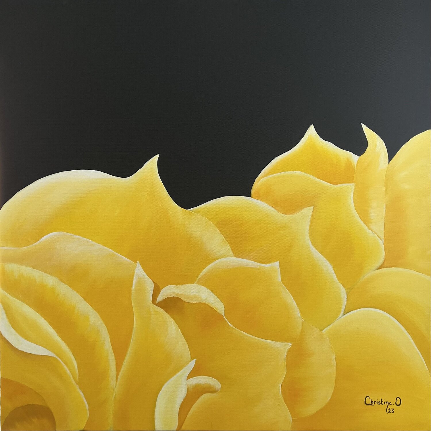 Joyful Light Christine El Ojeil