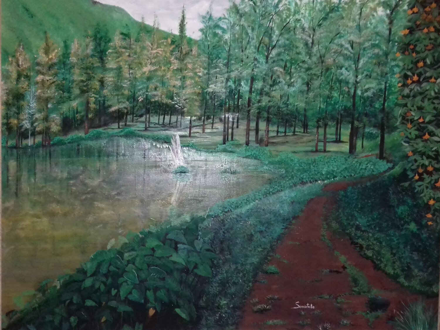 Mare à poule d'eau SONIOTOLO