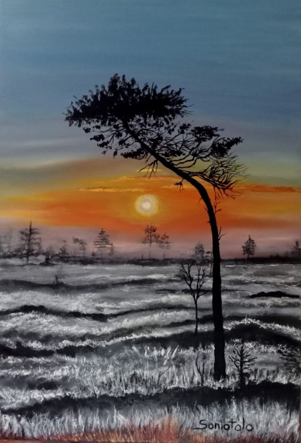 Coucher de soleil hivernal SONIOTOLO