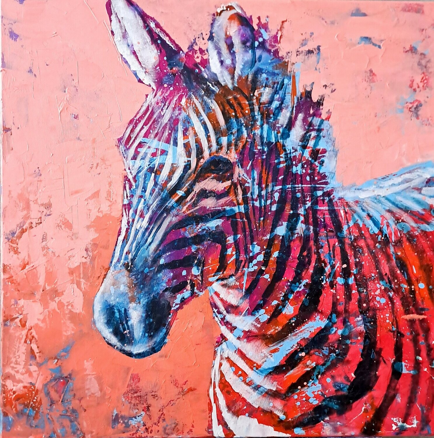 Zebra 3 Petr Seda