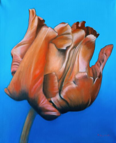 Blue and Orange by Francesca Licchelli, Painting for Sale on Singulart