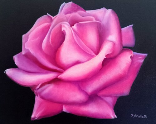 Pink and Black van Francesca Licchelli, Schilderij te koop op Singulart