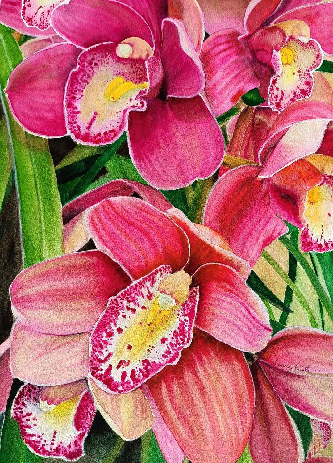 Magenta Bloom Francesca Licchelli
