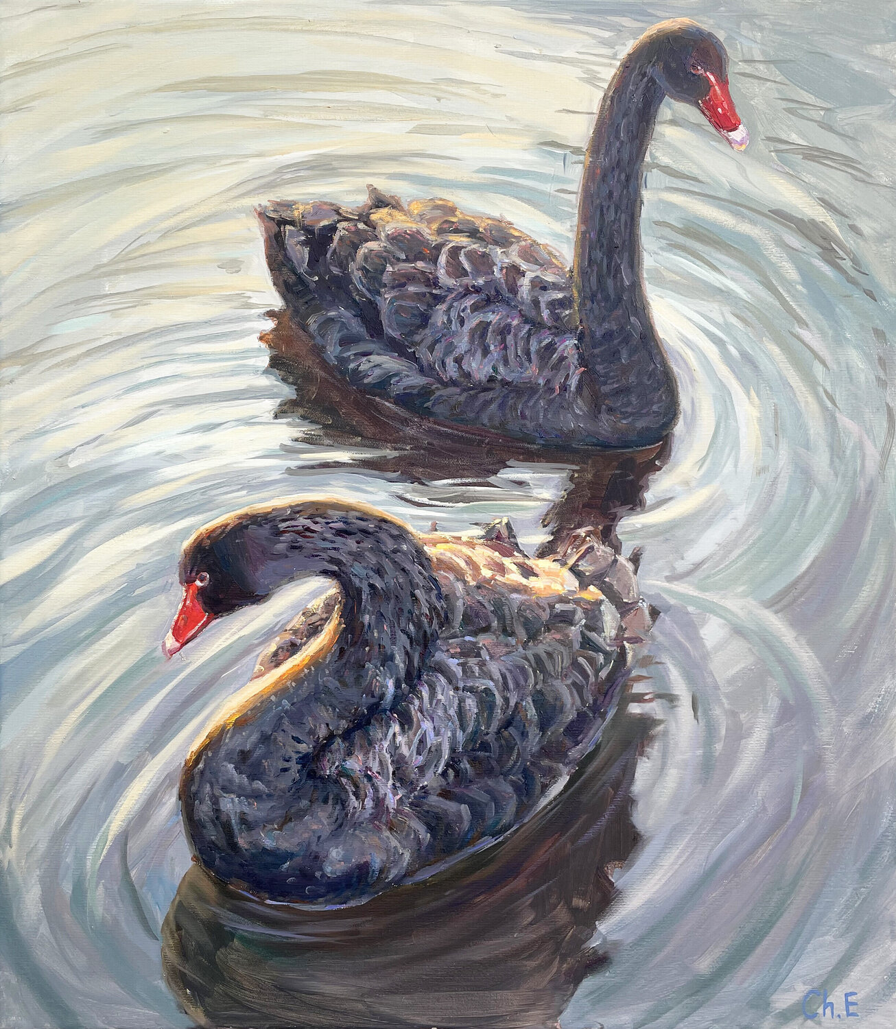 "Black swans" Evgeny Chernyakovsky